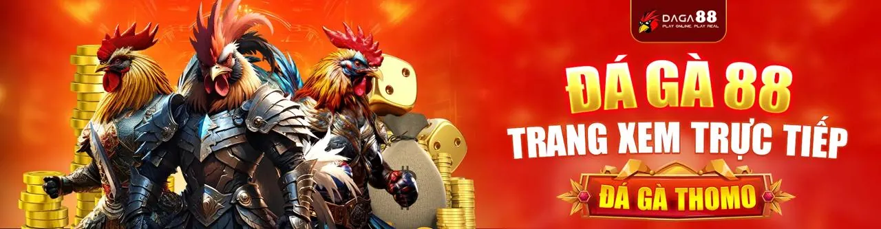 Sân vận động thể thao sôi động, cá cược thể thao 33win68 link mới