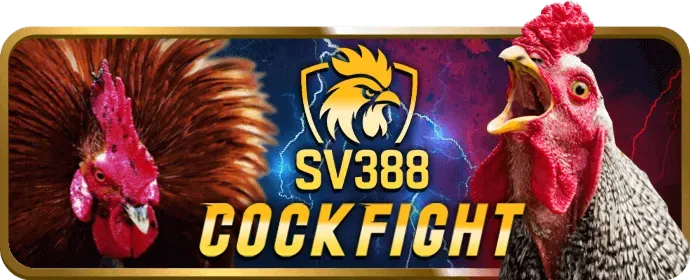 Giao diện các bước đăng ký tài khoản 33win68